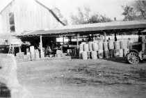 Apple processing at Bell farm